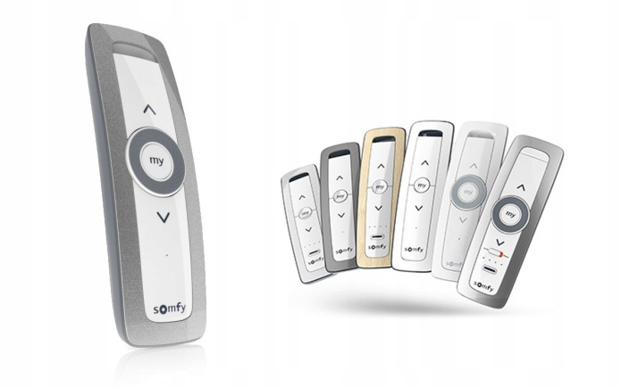 Pilot Somfy 1811609 SITUO 1 Variation RTS Iron II